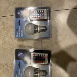 Color Changing Bulb (2)