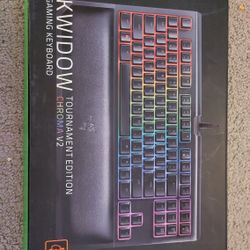 Razer Blackwidow TE Chroma V2