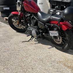Harley 