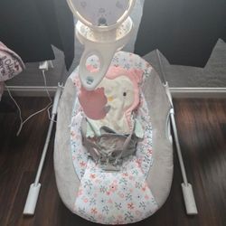 Ingenuity Babygirl Swing 
