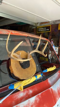 Antlers