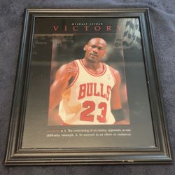 Michael Jordan Picture 