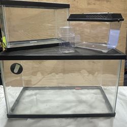 Set Of Terrariums / Aquarium