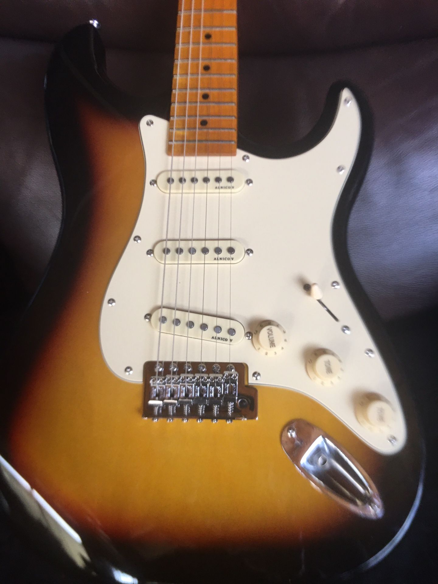 Strat Partscaster