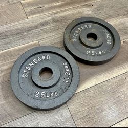 Two 25lb Weight plates (set)