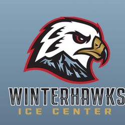 Ice Skating Tickets (4)