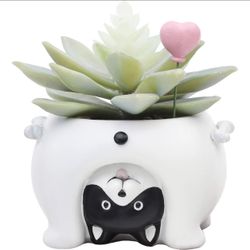 Flower pot, Resin Succulent Pot