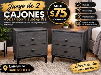 Set of 2 Modern 2-Drawer Nightstands