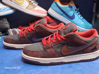 Nike SB Dunk Low  Pro Sneakers
