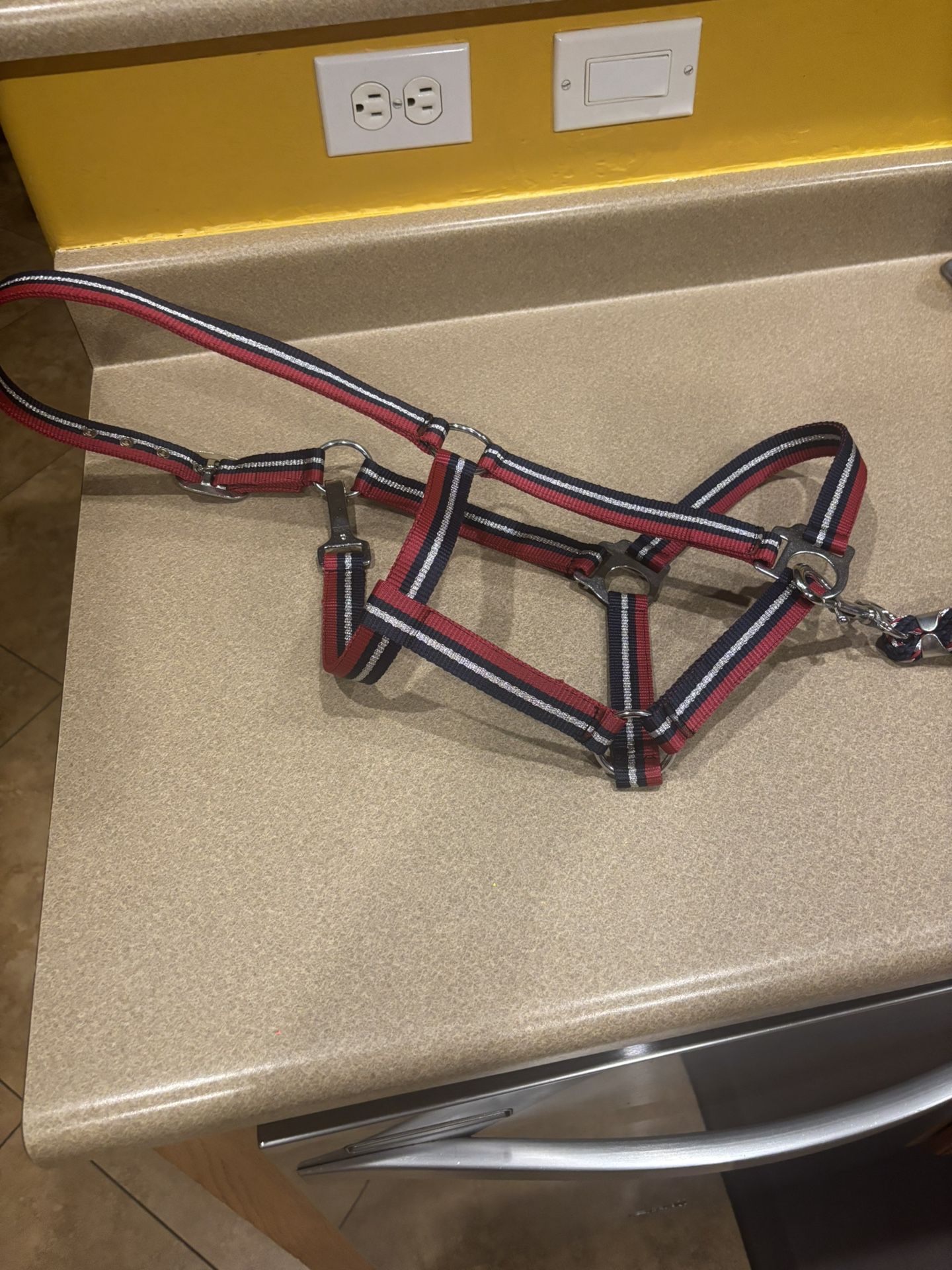 Horse Halter