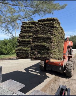 Pallets Of Saint Augustine Sod