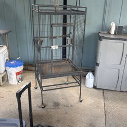 Bird Cage