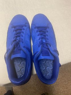 Blue Pumas