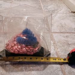 Miniature Betta Fish Tank