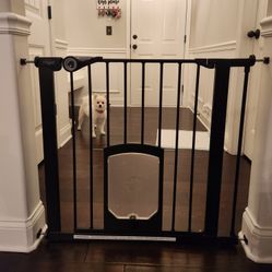Dog Gate