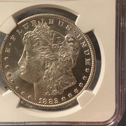 1882 cc NGC MS 64 Silver Morgan
