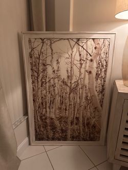 Nature Canvas/Painting