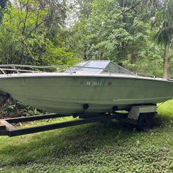 Sea-ray Boat  