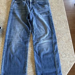 Adriano Goldschmied Simona Straight Leg Women’s Jeans 