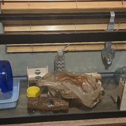 40 Gal Fish Tank