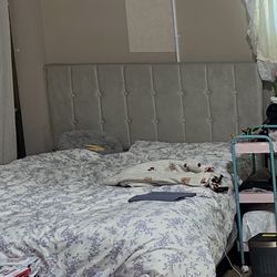 Bed+mattress And Sofa