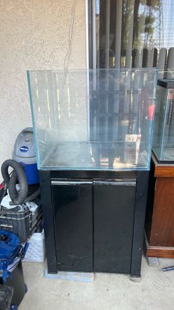 Fish Tank