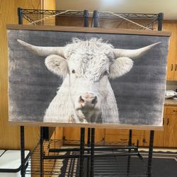 Wall Art & Pillow Brand New