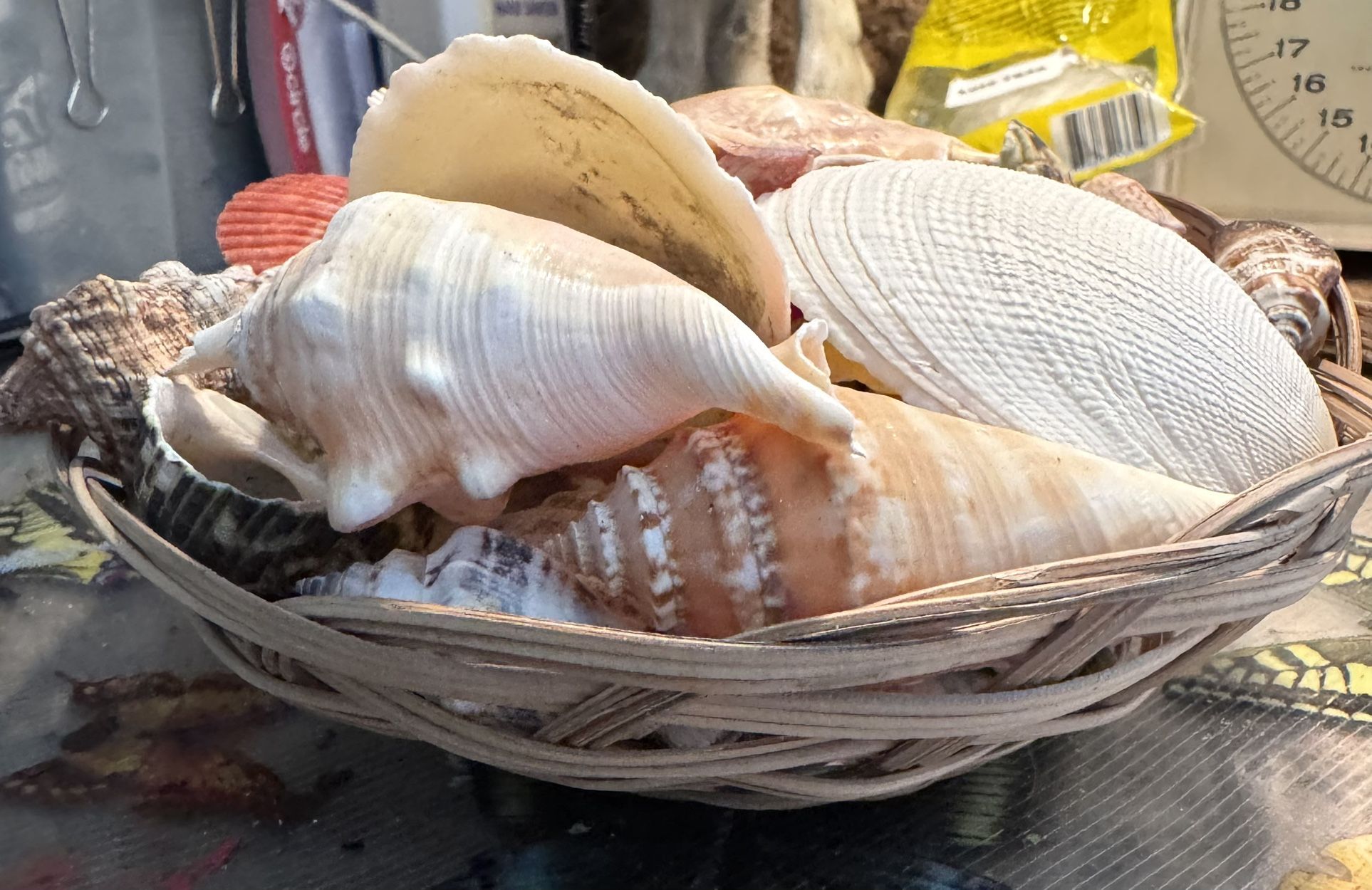 Wicker basket of shells
