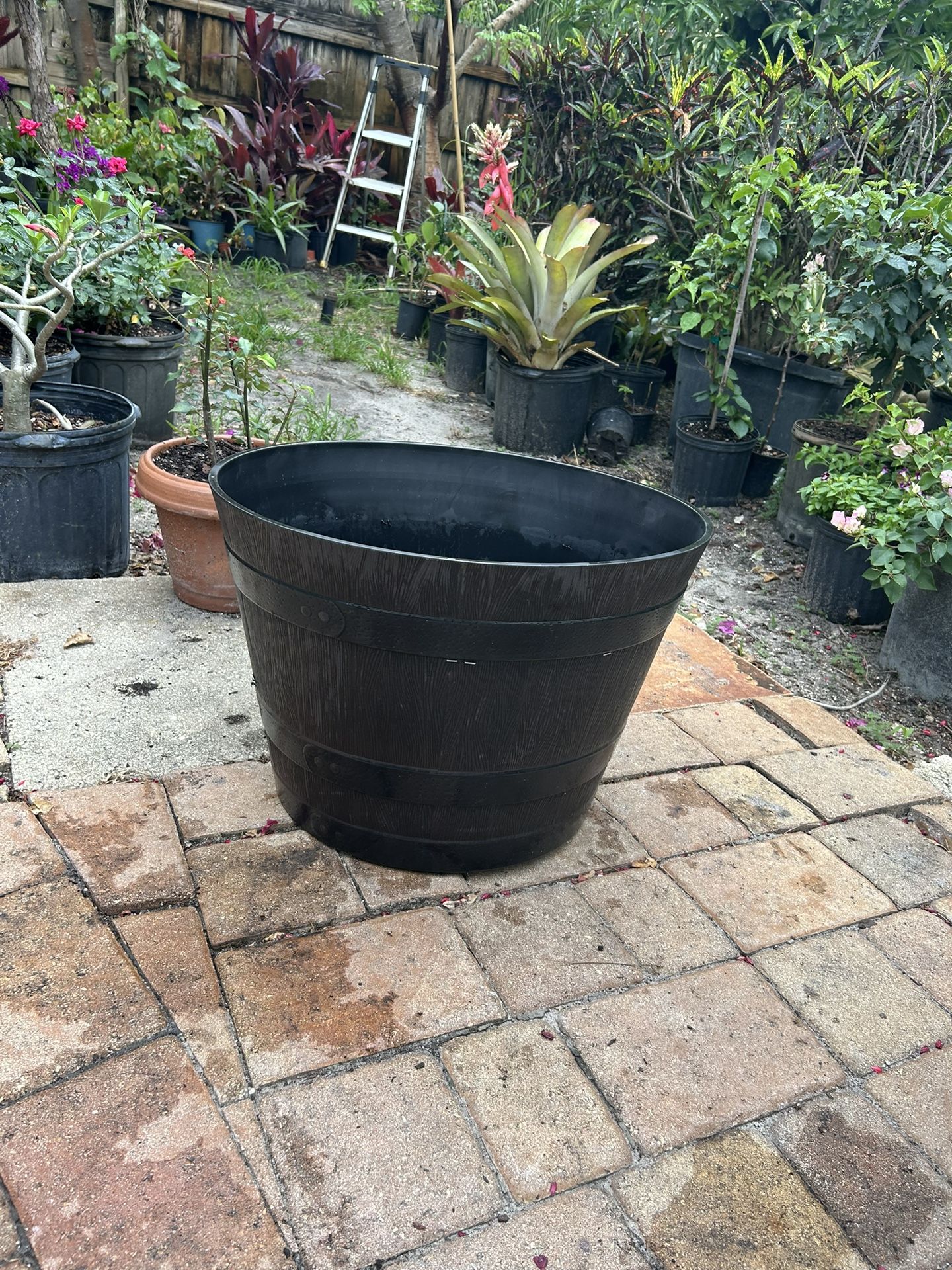 Flower Pot