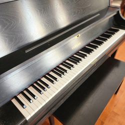 Yamaha P22 Studio Piano