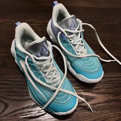 Size 6Y, Nike Giannis Shoes, $20 (originally over $100)