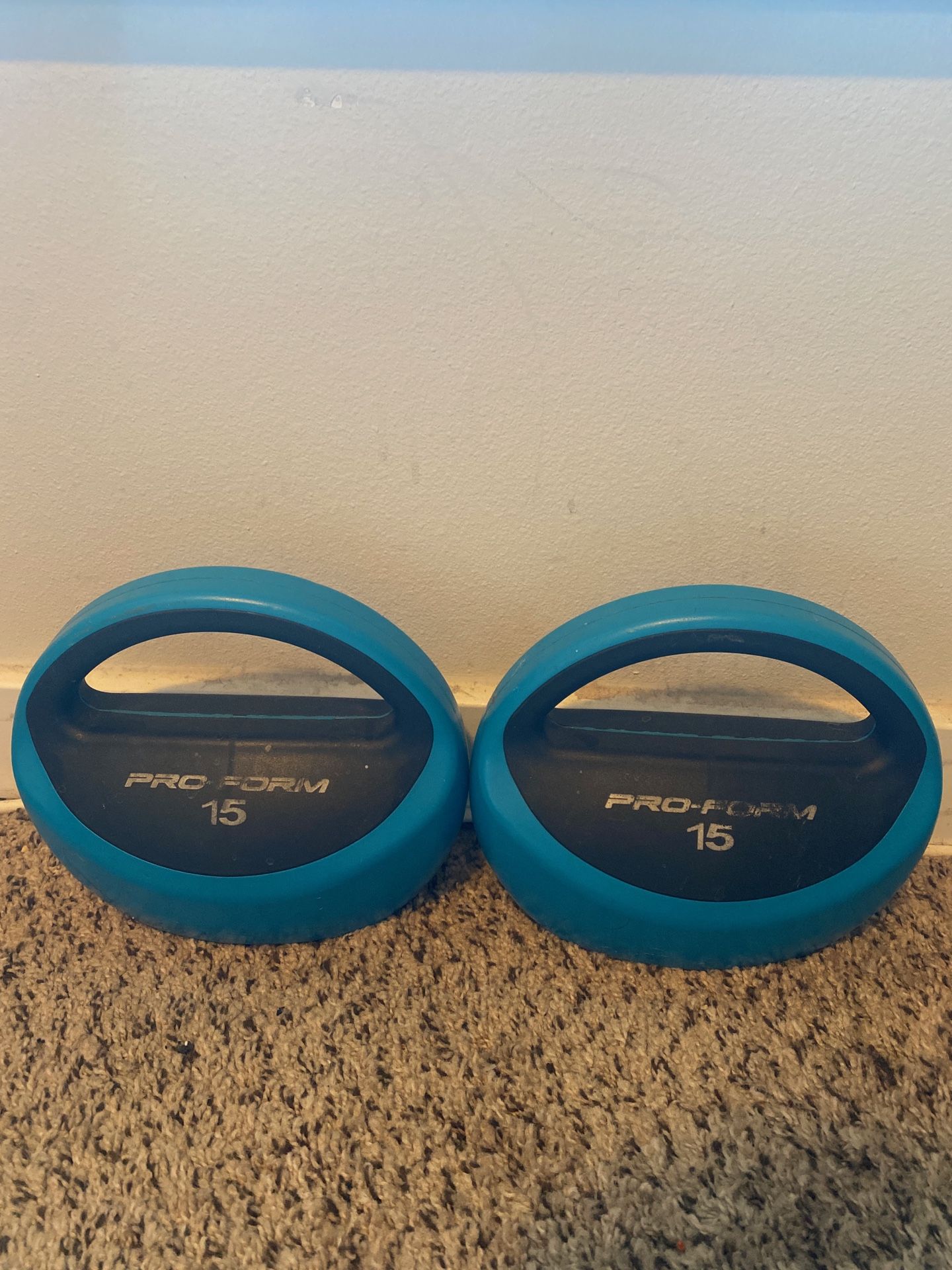 15 lb pro form dumb bells