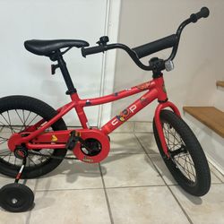 REI Kid’s bike (REV 16)