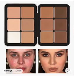 12 Color Carla Secret Concealer Palette.