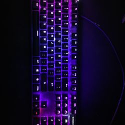 Apex pro full sized keyboard 