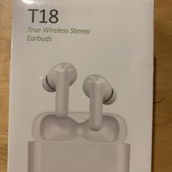 True Wireless Stereo Earbuds