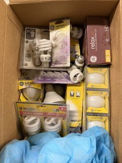 Light Bulb Bulk