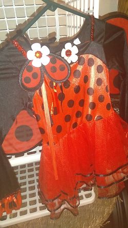 Ladybug costume