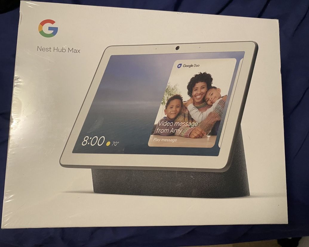 Google Hub Max