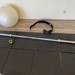 45 Pound Olympic Barbell