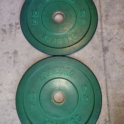 Olympic Bumper Plates-10lbs Cash or Zelle 