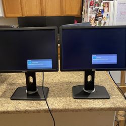 19” Dell P1913 Computer Monitors 