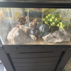 Reptile Tank