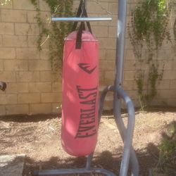 Ever Last Boxing Bag With Stand 