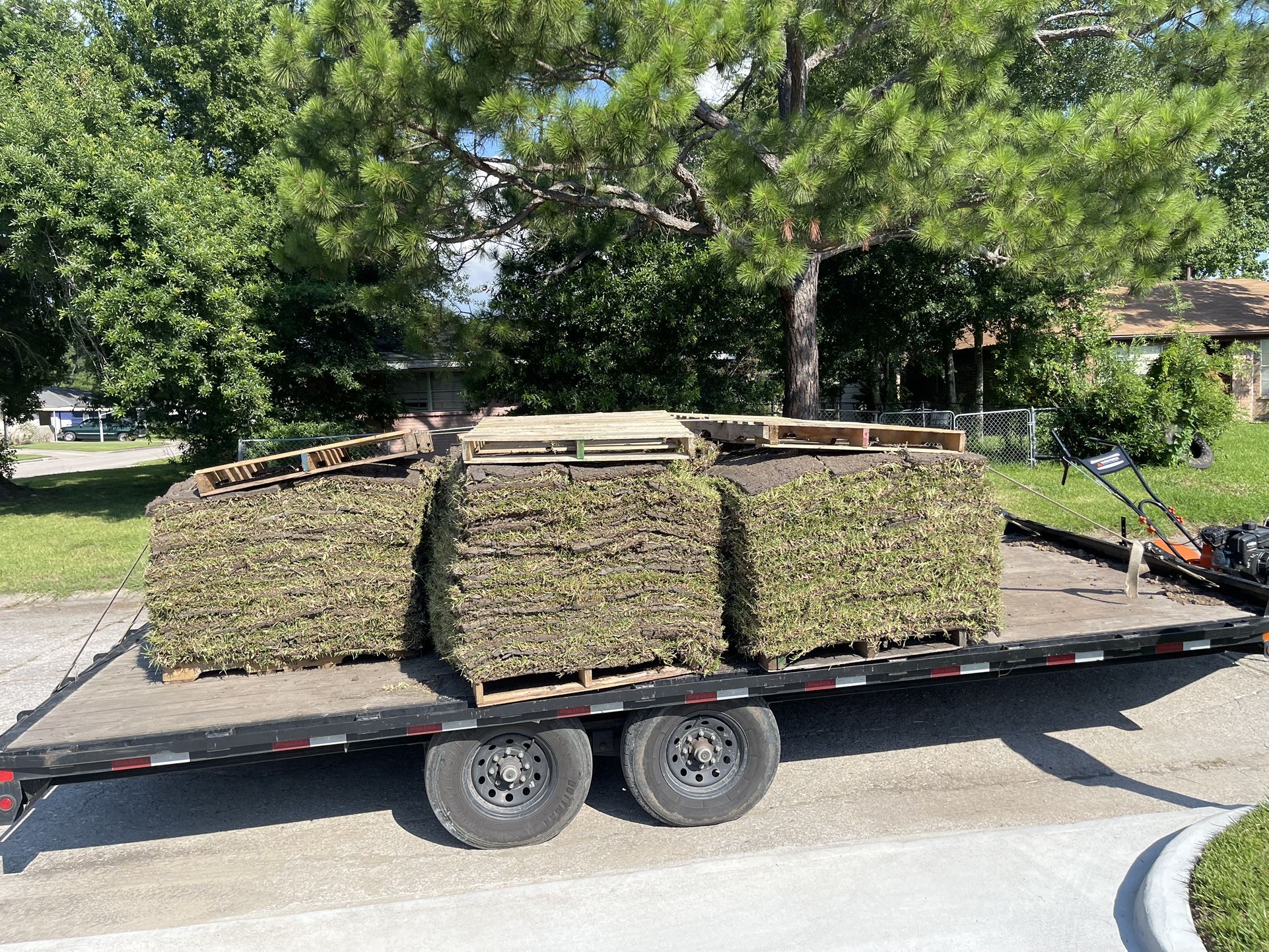 grass sod