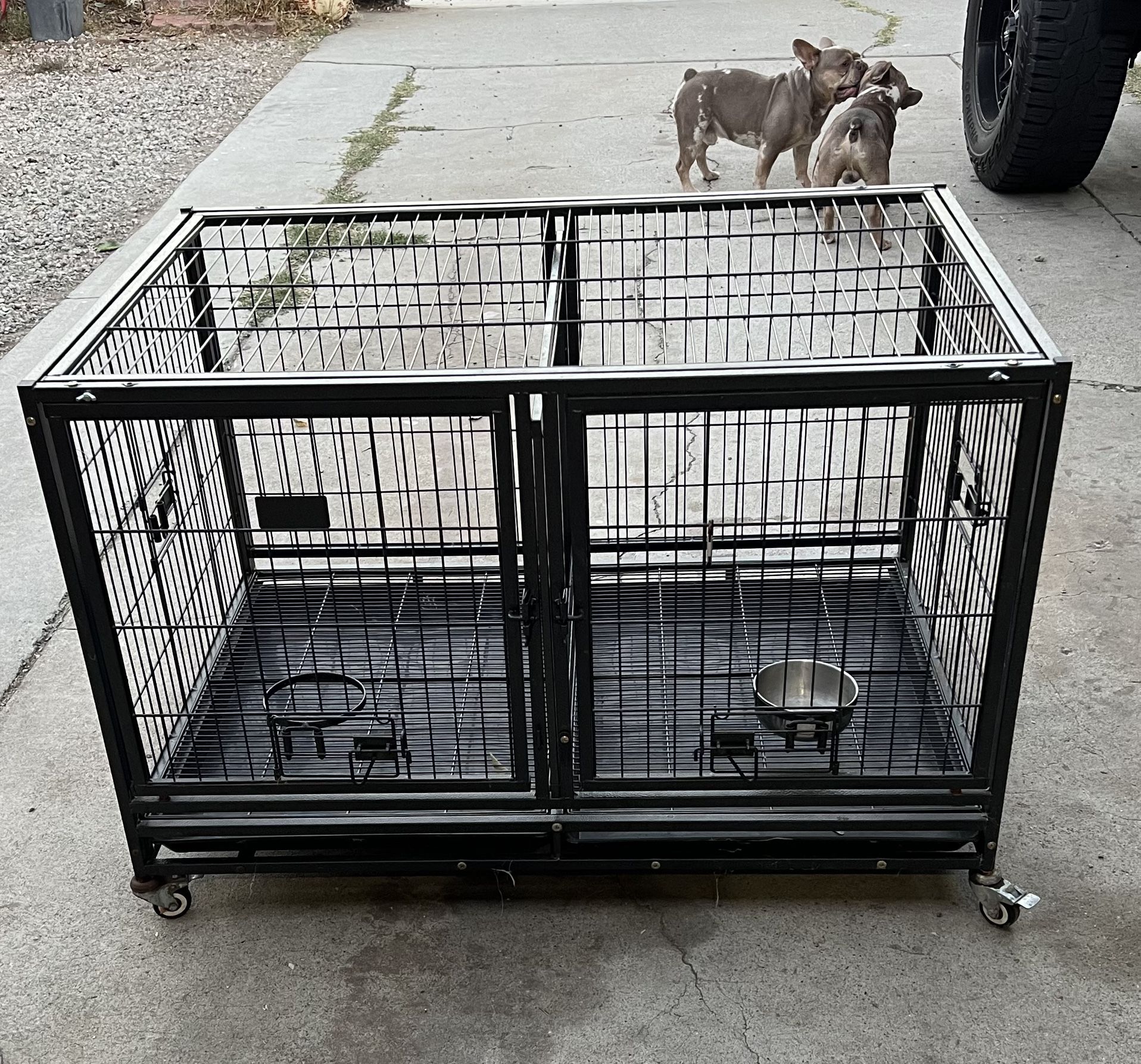 Dog Cage