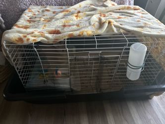 Animal cage
