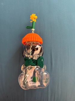 Starbucks Snoopy Glass Cup