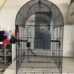 Bird Cage 