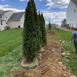 Landscaping/Excavation 